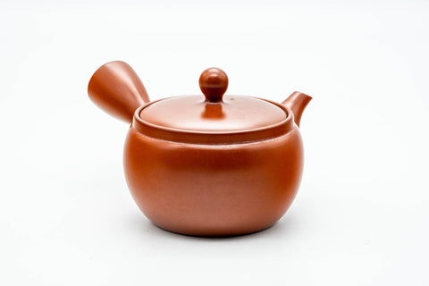 Japanese Kyusu - Classic Red Shudei Tokoname-yaki Mesh Teapot - 350ml