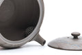 Mogake yakishime unglazed Tokoname kyusu teapot with side handle - lid removed beside the body showing the interior