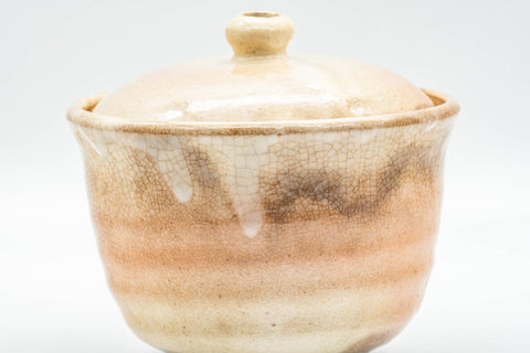 Tezumi — Japanese Houhin - 萩焼 Large Hagi-yaki Ceramic Filter Teapot - 280ml — closeup of the decoration
