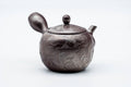 Tezumi — Japanese Kyusu - Engraved Birds Banko-yaki Ceramic Teapot - 150ml — three-quarter view