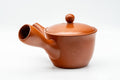 Tezumi — Japanese Kyusu - Classic Red Shudei Tokoname-yaki Mesh Teapot - 275ml — side view showing the spout