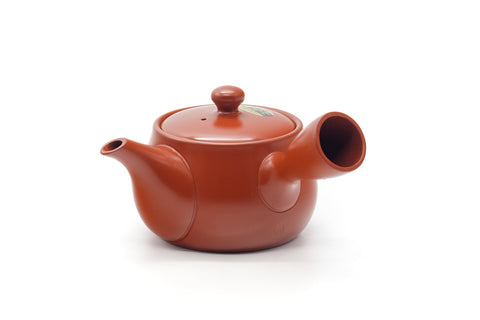 Tezumi — Japanese Kyusu - Long Grass Engraved Tokoname Mesh Teapot - 340ml — side view showing the spout