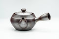 Three-quarter view of the dark Banko teapot showing spout, side handle and engraved body