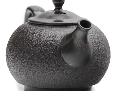 Benishibori Mogake Tokoname Rear-handled Teapot - 280ml