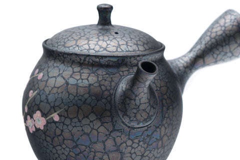 Plum Blossom Tenmoku Tokoname Kokudei Teapot - 260ml