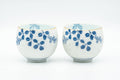 Japanese Teacups - Pair of Blue Floral Arita-yaki Yunomi - 150ml - Tezumi