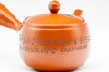 Japanese Kyusu - Calligraphy Engraved Tokoname-yaki Mesh Teapot - 300ml - Tezumi