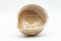 Tezumi — Japanese Katakuchi - Beige Pink Hagi-yaki Water Cooler - 130ml — tipped to show the interior