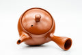 Japanese Kyusu - Classic Red Shudei Tokoname-yaki Mesh Teapot - 290ml - Tezumi