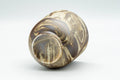 Japanese Teacup - Beige Brown Marbled Yunomi - 110ml - angled view showing the base