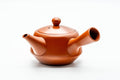 Japanese Kyusu - Calligraphy Engraved Red Shudei Tokoname-yaki Teapot - 350ml - side profile with the spout to the left