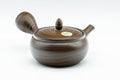 Japanese Kyusu - Hida Tosen Nerikomi Tokoname-yaki Teapot - 230ml - front view with the spout