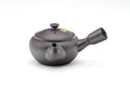 Tezumi — Japanese Kyusu - Engraved Banko-yaki Mesh Teapot - 290ml — side view with the lid and side handle