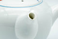 Japanese Tea Set - Floral Arita-yaki Debeso Kyusu Teapot with 5 Yunomi Teacups - teapot side view showing the spout and lid