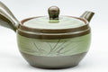 Japanese Kyusu - Green Hakeme Mesh Teapot - 250ml - Tezumi