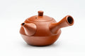 Tezumi — Japanese Kyusu - Calligraphy Engraved Tokoname-yaki Debeso Teapot - 280ml — side view showing the spout