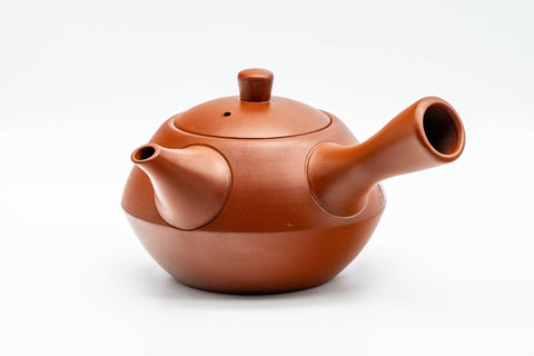 Tezumi — Japanese Kyusu - Calligraphy Engraved Tokoname-yaki Debeso Teapot - 280ml — side view showing the spout