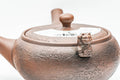 Japanese Kyusu - Brown Textured Atypical Airflow Mould-made Tokoname-yaki Teapot - 300ml - Tezumi