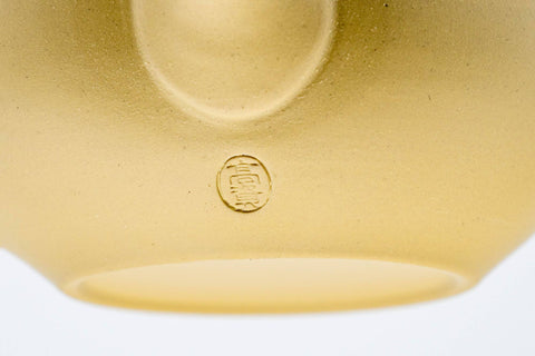 Small White Tokoname Teapot - 110ml