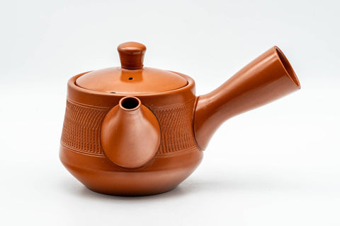 Tezumi — Japanese Kyusu - Red Shudei Tochiri Tokoname-yaki Mesh Teapot - 260ml — side view showing the spout