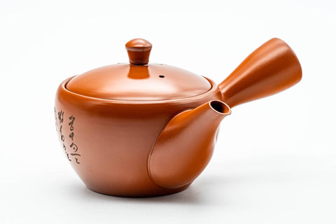 Japanese Kyusu - Calligraphy Engraved Tokoname-yaki Mesh Teapot - 275ml - three-quarter front view showing the lid knob and side handle