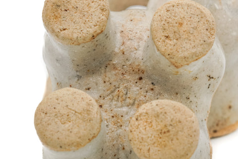 Japanese Kogo - 仙 Dog-shaped Incense Container