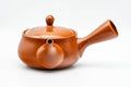 Tezumi — Japanese Kyusu - Bamboo Engraved Tokoname-yaki Mesh Teapot - 350ml — three-quarter view from the opposite side