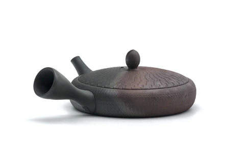 Wide Flat Kokudei Yōhen Tokoname Teapot - 100ml