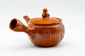 Tezumi — Japanese Kyusu - Monkeys and Leaves Tokoname-yaki Mesh Filter Teapot - 400ml — top-down view of the lid