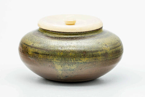 Japanese Chaire - 市野信水 Ichino Shinsui - 信水窯 Shinsui Kiln - Tanba-yaki Chaire with Shifuku