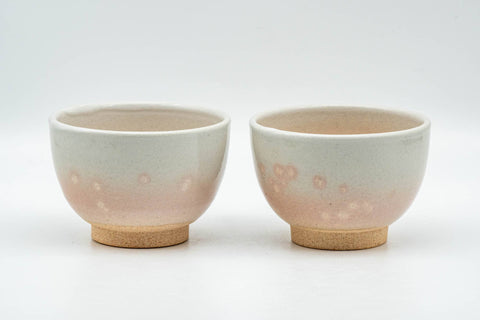 T933 Japanese Teacup -  - 90ml - Tezumi