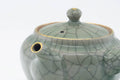 Tezumi — Japanese Kyusu - Golden Horse Green Celadon Glazed Obori Soma-yaki Porcelain Teapot - 200ml — closeup of the decoration