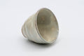 Gohonte Rokurome Mino-yaki yunomi teacup, speckled beige glaze with throwing rings - tilted to show the rim and interior
