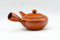 Japanese Kyusu - Myozan Tsuzuki - Tokoname-yaki Debeso Teapot - 220ml - Tezumi