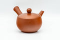 K635 Japanese Kyusu -  - 75ml - Tezumi