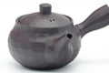 Tezumi — Japanese Kyusu - Faceted Banko-yaki Teapot - 185ml — closeup of the decoration