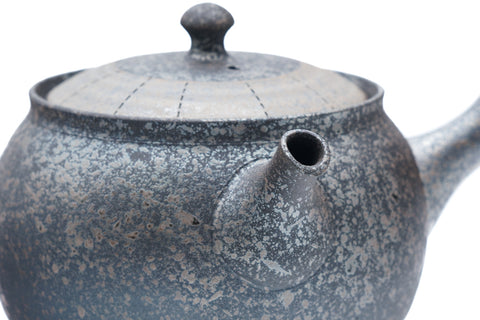 Haikake Patterned Tokoname Teapot - 330ml