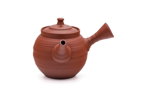 Red Shudei Sujihiki Tokoname Teapot - 280ml