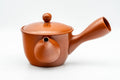 Tezumi — Japanese Kyusu - Classic Red Shudei Tokoname-yaki Mesh Teapot - 275ml — three-quarter view