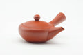 Tezumi — Japanese Kyusu - Smooth Red Shudei Tokoname-yaki Debeso Teapot - 150ml — three-quarter view