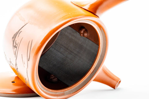 Interior view with the lid removed, revealing the built-in mesh strainer at the base of the spout.