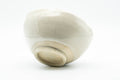 Japanese Matcha Bowl - Milky White Glazed Plum Blossom-shaped Chawan - 300ml - the bowl inverted to show the foot
