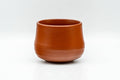 T1040 Japanese Teacup -  - 140ml - Tezumi