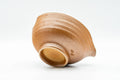 Tezumi — Japanese Katakuchi - Celadon Glazed Stoneware Water Cooler - 150ml — tipped to show the interior
