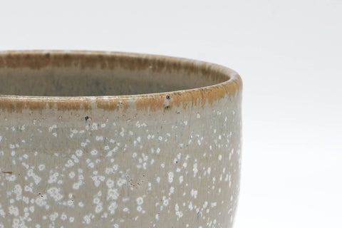 Tezumi — Japanese Matcha Bowl - Grey White Speckle Glazed Chawan - 250ml — tipped to show the interior