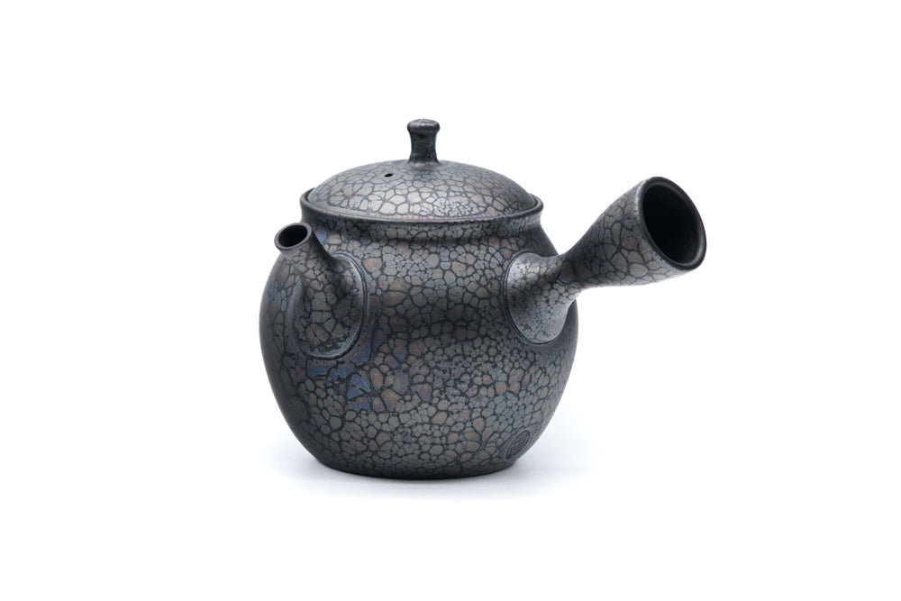 Plum Blossom Tenmoku Tokoname Kokudei Teapot - Thumbnail 5