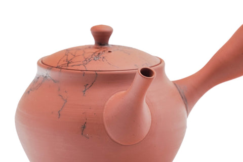 Mogake Red Shudei Tokoname Teapot - 220ml
