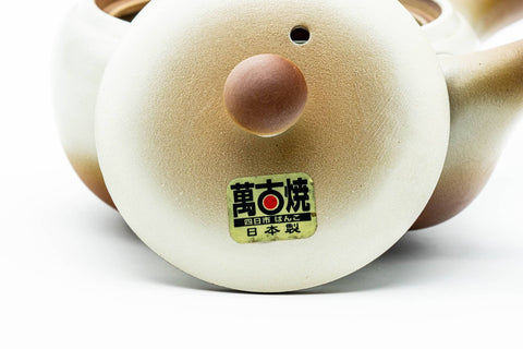 Japanese Kyusu - Beige Brown Gradient Mesh Teapot - 275ml
