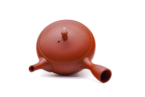 Sakura Red Tokoname Shudei Teapot - 240ml