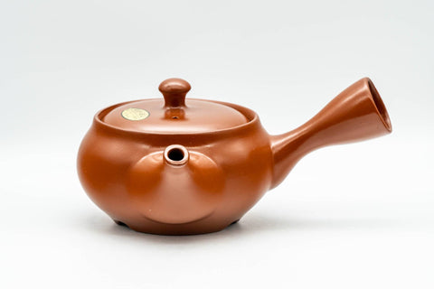 Japanese Kyusu - Red Shudei Tokoname-yaki Mesh Teapot - 300ml